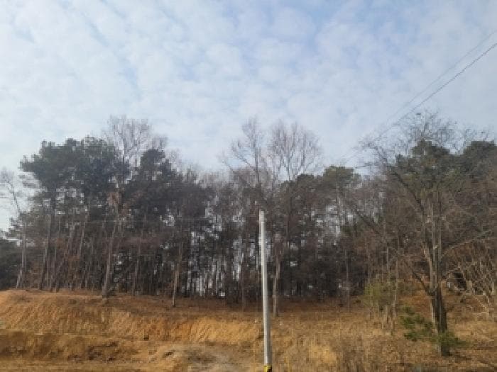 충청북도 청주시 흥덕구 동막동 산46