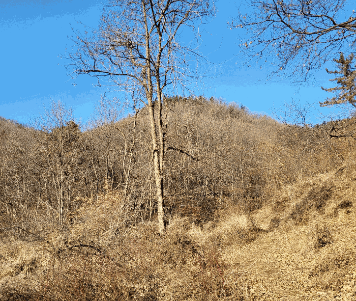 충청북도 청주시 흥덕구 옥산면 장동리 산45 외 1 필지