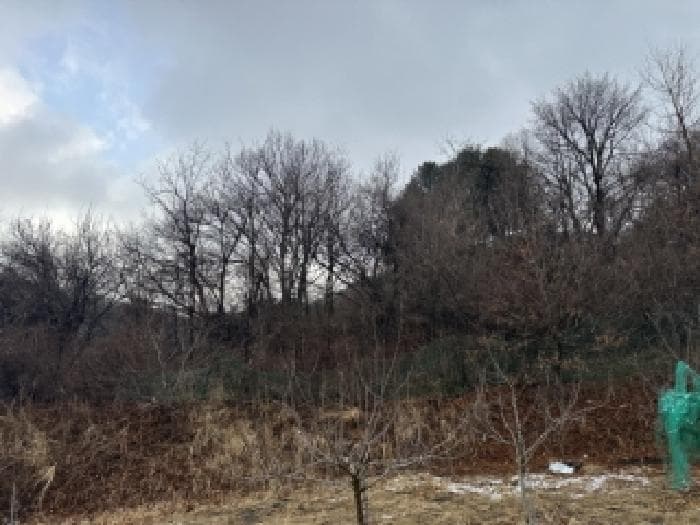 충청북도 청주시 상당구 낭성면 무성리 13