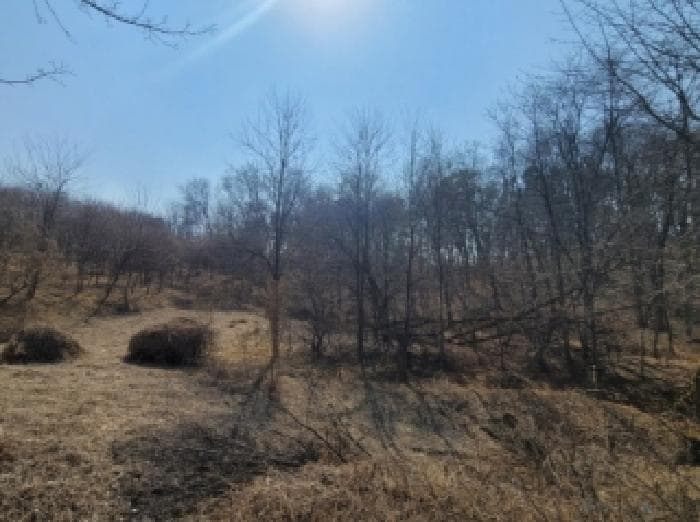 충청북도 청주시 청원구 내수읍 풍정리 138-1