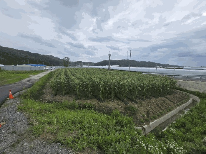 충청북도 청주시 서원구 현도면 중척리 402-1 중척리승마장(창고) 외 1 필지
