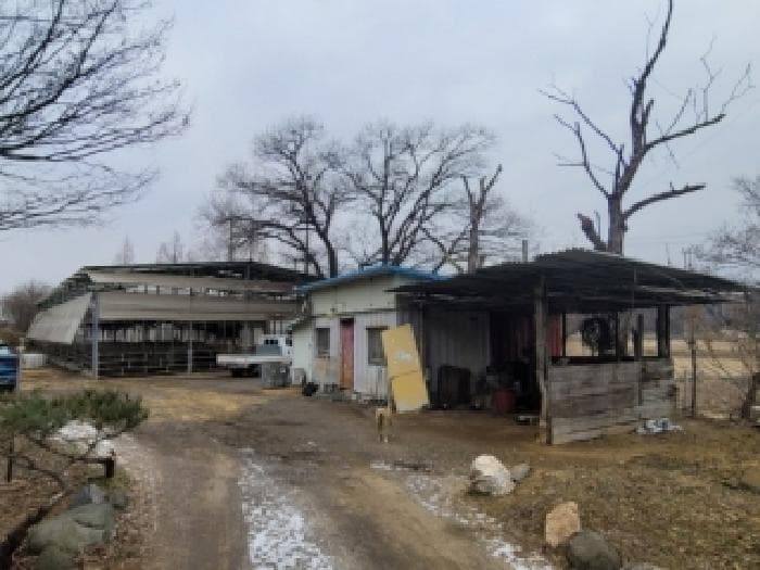 충청북도 청주시 청원구 북이면 호명리 292 외 3 필지 외 1개 동
