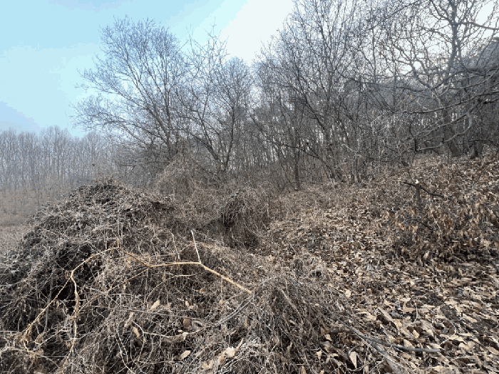 충청북도 청주시 상당구 낭성면 삼산리 산117-1 외 5 필지