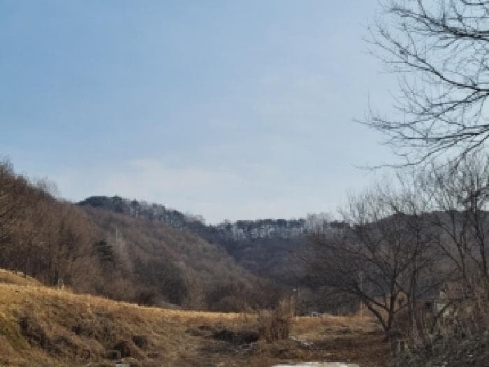 충청북도 괴산군 소수면 아성리 산41-31