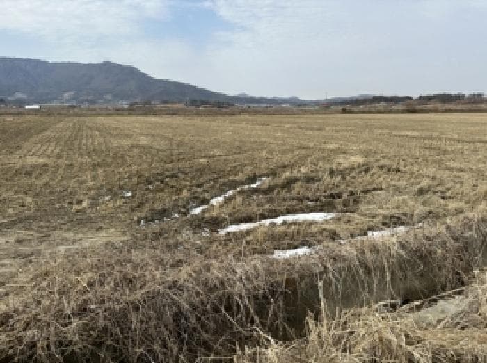 충청북도 보은군 삼승면 천남리 771