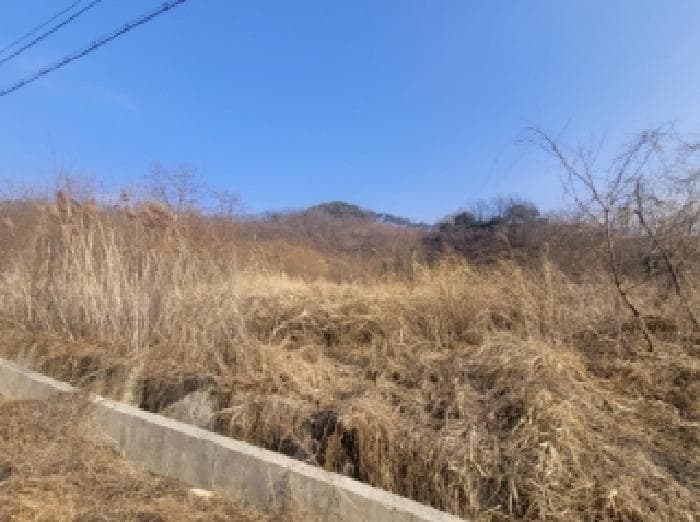 충청북도 청주시 청원구 내수읍 초정리 36-3