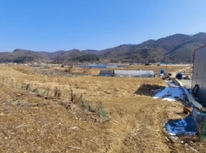 충청북도 괴산군 청천면 삼락리 234