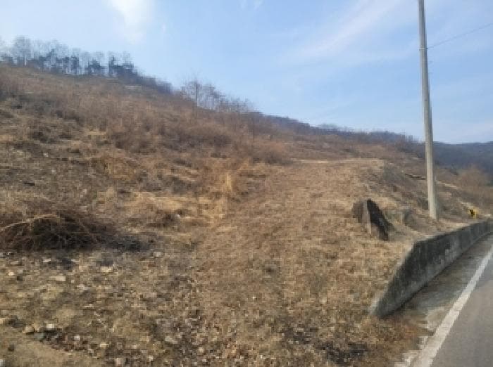 충청북도 괴산군 괴산읍 신기리 산18-25 외 1 필지