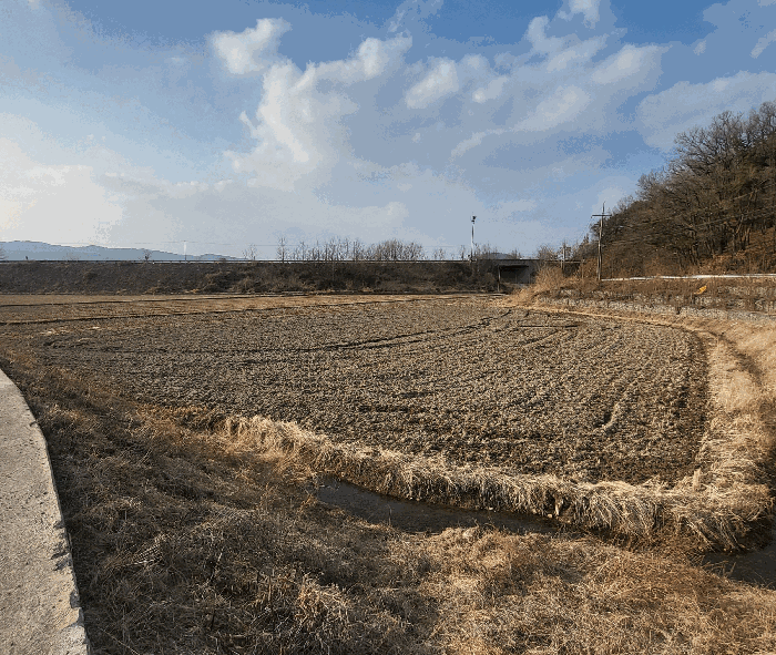 충청북도 보은군 보은읍 월송리 산39