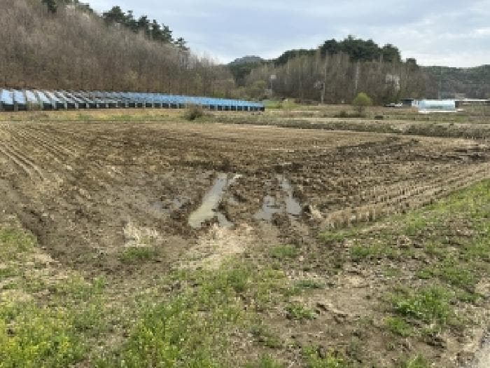 충청북도 보은군 산외면 탁주리 152-1 외 1 필지