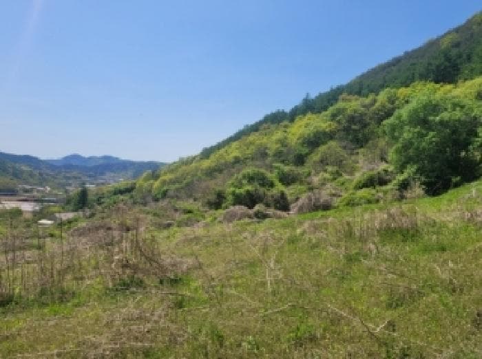 충청북도 괴산군 청천면 신월리 7