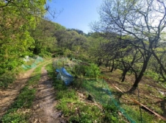 충청북도 청주시 청원구 내수읍 우산리 산48-15