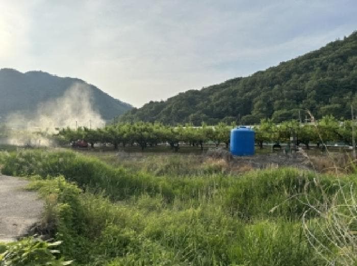 충청북도 보은군 마로면 오천리 74-2