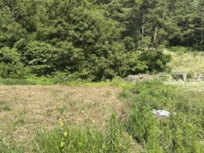 충청북도 보은군 수한면 오정리 205 외 3 필지