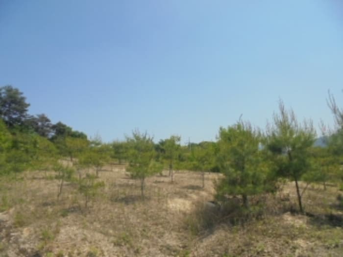 충청북도 충주시 앙성면 사미리 산20-2 외 5 필지