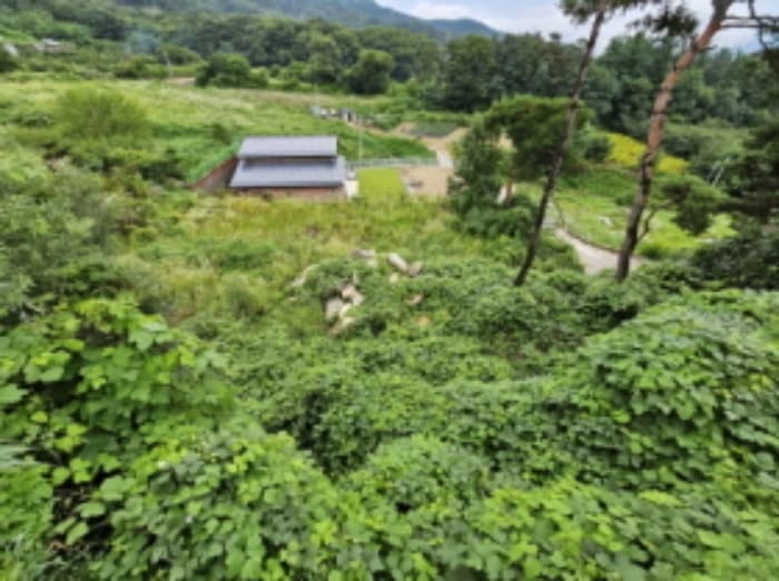 충청북도 음성군 감곡면 상우리 산28-52 외 1 필지