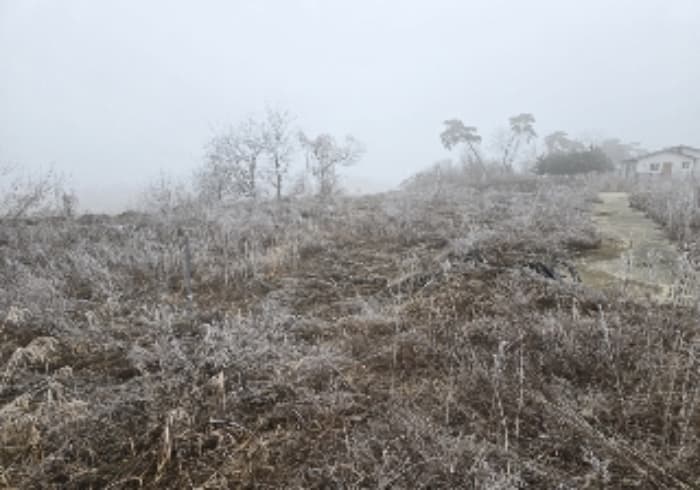 충청북도 충주시 앙성면 조천리 285-7