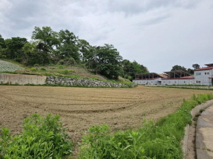 충청북도 음성군 금왕읍 구계리 605 가동 외 3 필지 외 5개 동