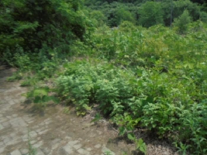 충청북도 충주시 주덕읍 화곡리 1429