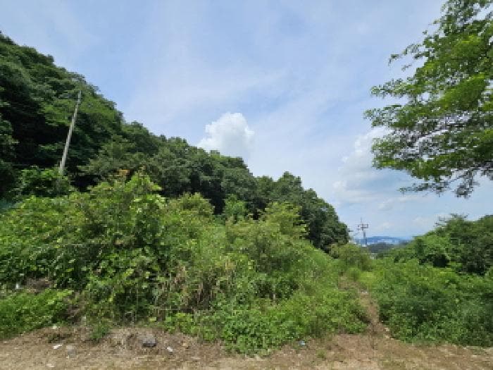 충청북도 충주시 주덕읍 신양리 92-2 외 2 필지