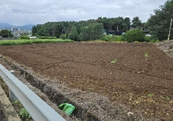 충청북도 충주시 주덕읍 신양리 380