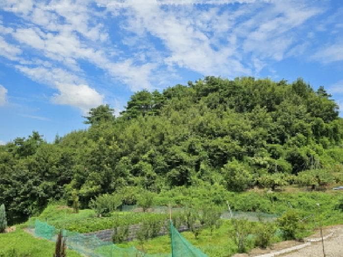 충청북도 음성군 음성읍 삼생리 190-7 외 4 필지