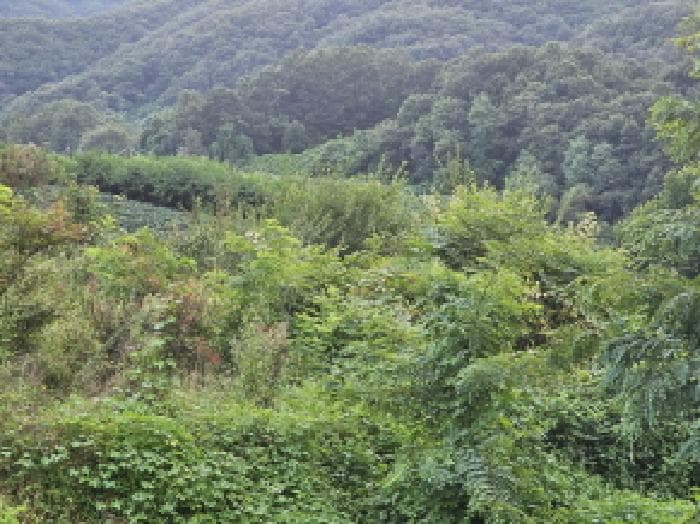 충청북도 충주시 앙성면 목미리 201