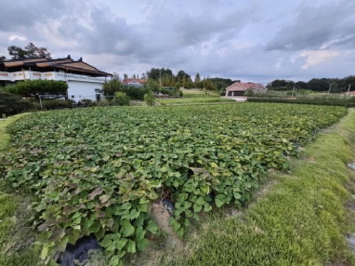 충청북도 충주시 동량면 용교리 302-1 외 1 필지