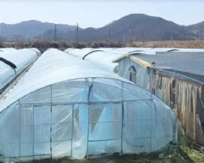 충청북도 충주시 달천동 835-176