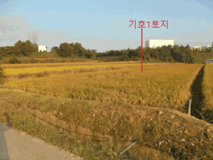 충청북도 음성군 대소면 대풍리 355