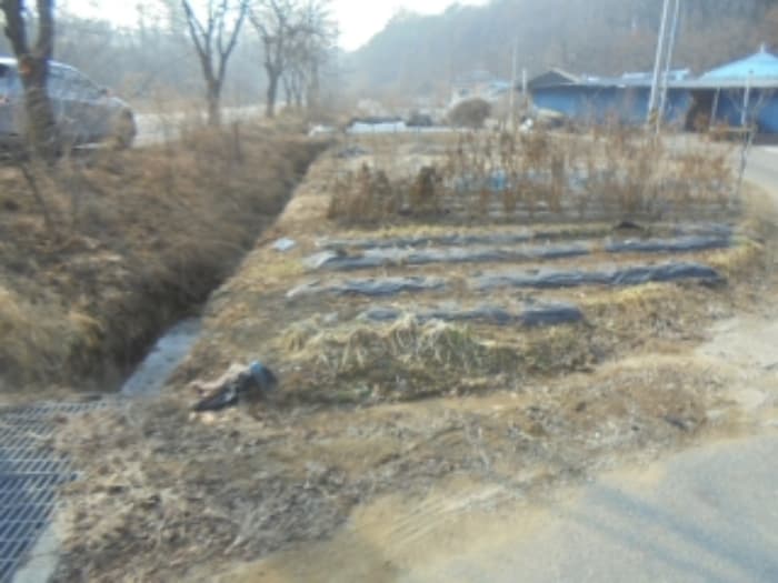 충청북도 충주시 신니면 대화리 172-2