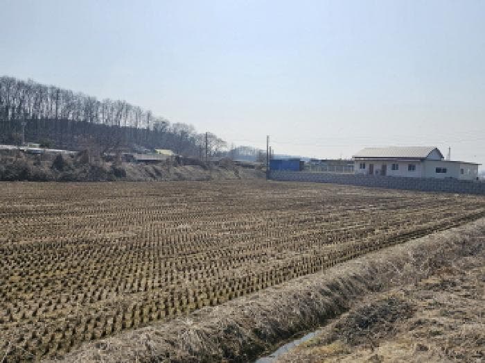 충청북도 음성군 금왕읍 본대리 94