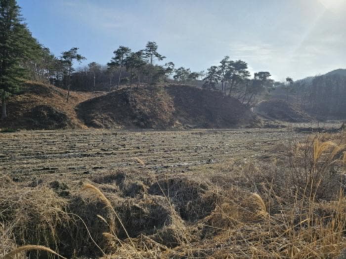 충청북도 충주시 앙성면 조천리 174-1
