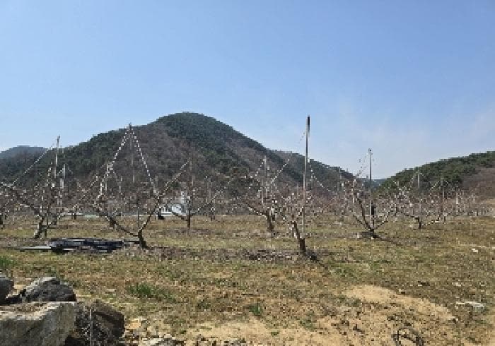 충청북도 충주시 수안보면 안보리 310