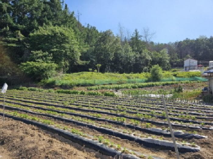 충청북도 충주시 대소원면 만정리 362-5 외 2 필지