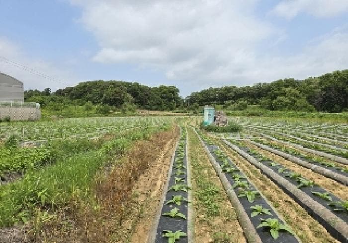충청북도 음성군 대소면 부윤리 170 외 2 필지