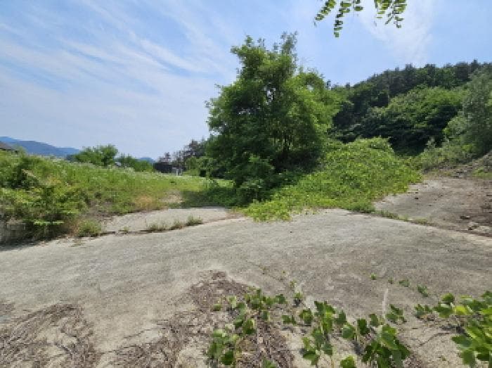 충청북도 음성군 금왕읍 무극리 산31 외 3 필지