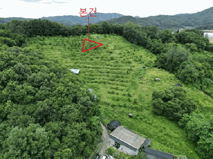 충청북도 음성군 음성읍 읍내리 산26-18