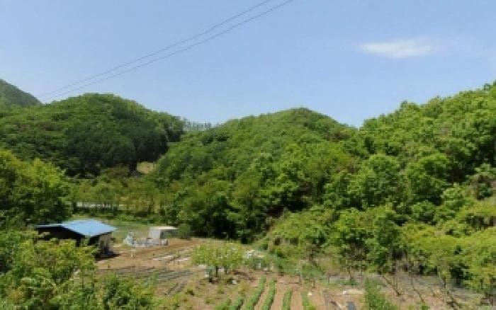 충청북도 충주시 대소원면 탄용리 379-1