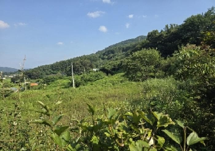 충청북도 충주시 앙성면 돈산리 177-6
