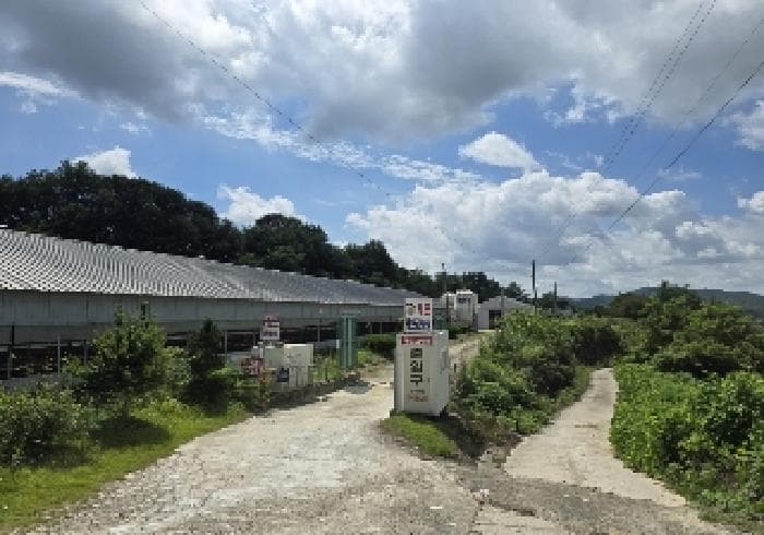 충청북도 음성군 원남면 보룡리 42-6 외 6 필지 외 9개 동