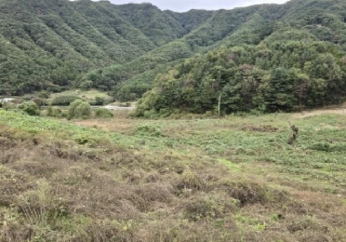 충청북도 충주시 수안보면 사문리 209 외 1 필지