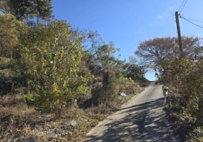 충청북도 음성군 금왕읍 육령리 산81-3