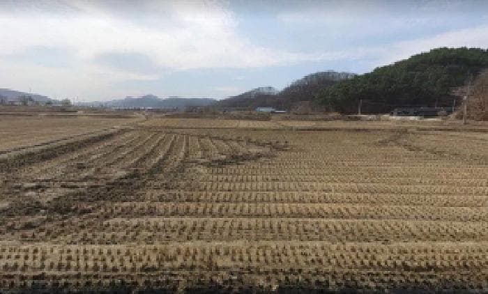 충청북도 충주시 앙성면 단암리 604-1