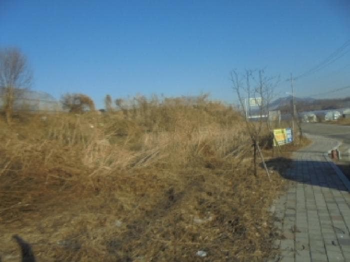 충청북도 충주시 금가면 사암리 406-1 외 1 필지