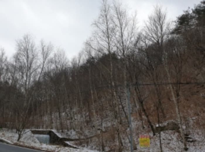 충청북도 단양군 대강면 도락산로 501-34 (2동) 외 33 필지 외 6개 동