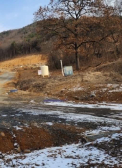 충청북도 제천시 청풍면 도곡리 산33 외 4 필지