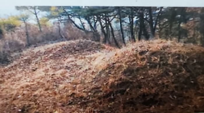 충청북도 제천시 수산면 구곡리 산9-2 외 3 필지
