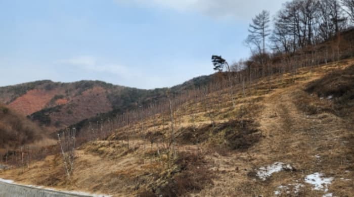 충청북도 제천시 청풍면 연론리 462