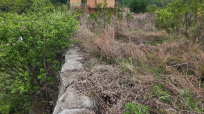충청북도 제천시 송학면 시곡리 555-1 외 3 필지